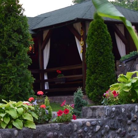 Casa De Vacanta Silvia Vărmaga Extérieur photo