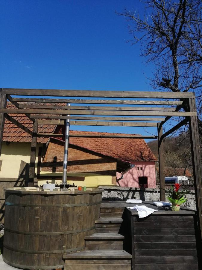 Casa De Vacanta Silvia Vărmaga Extérieur photo