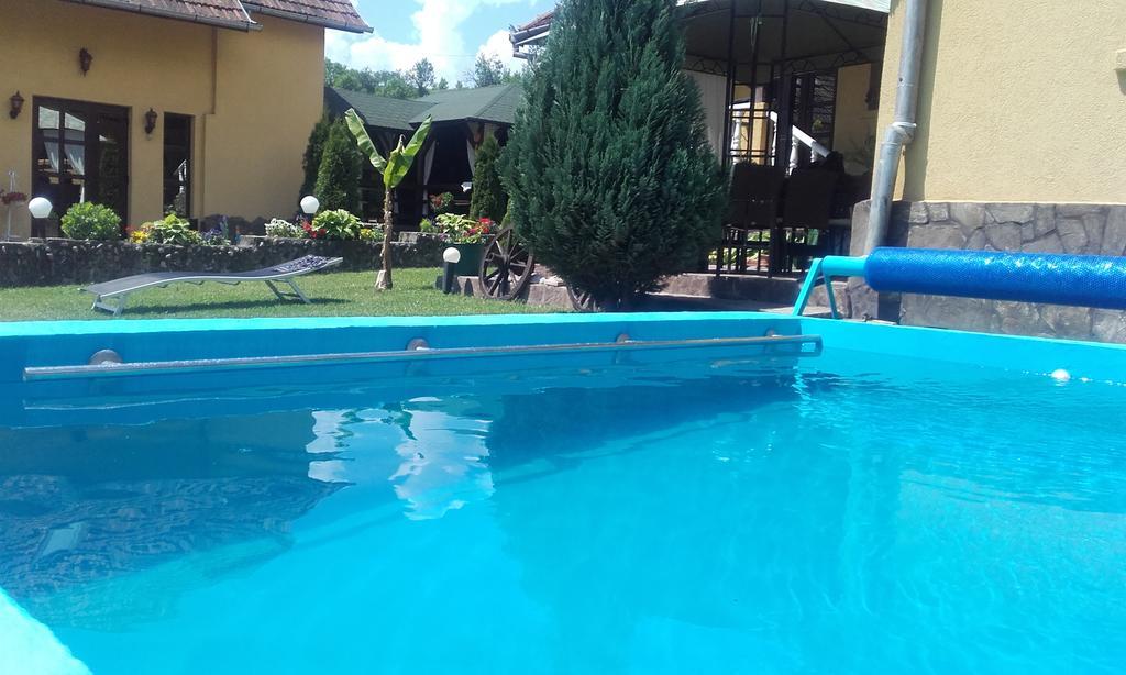 Casa De Vacanta Silvia Vărmaga Extérieur photo