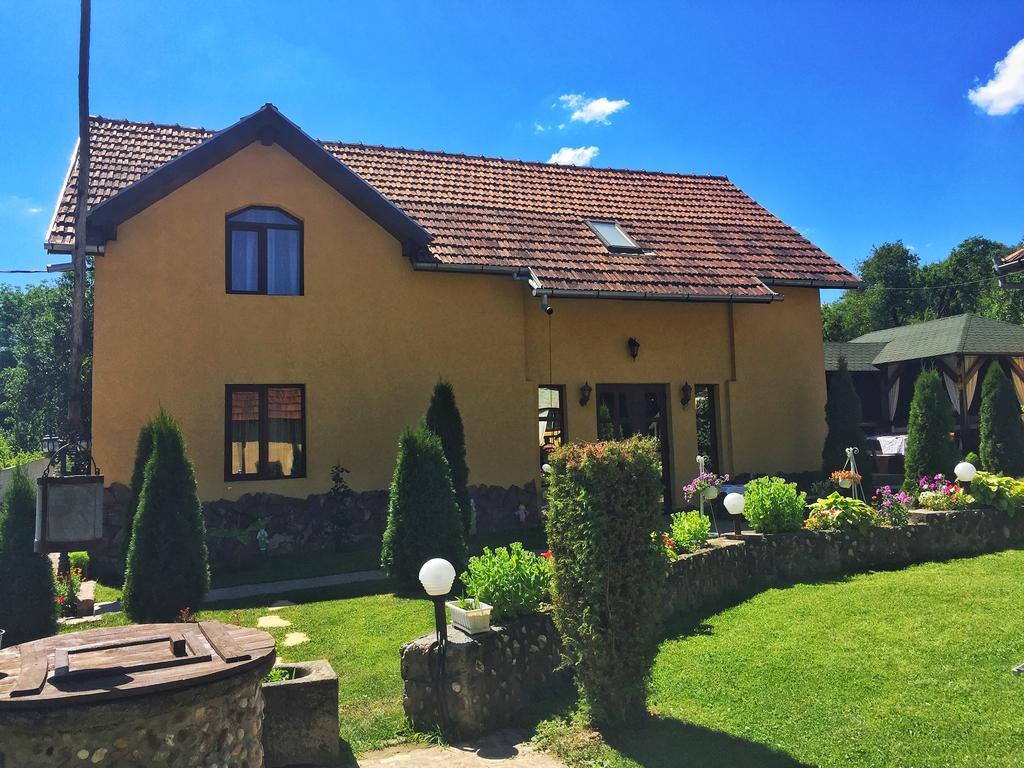 Casa De Vacanta Silvia Vărmaga Extérieur photo