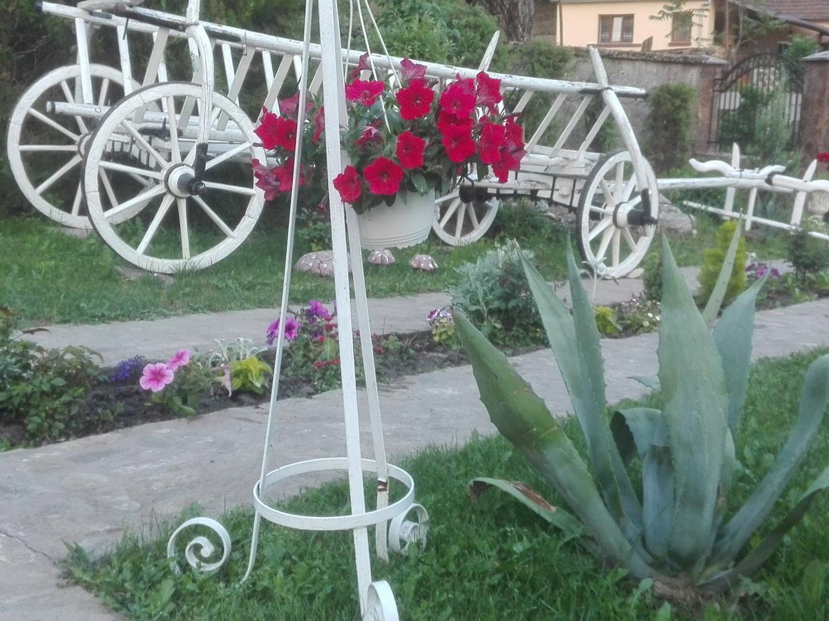 Casa De Vacanta Silvia Vărmaga Extérieur photo