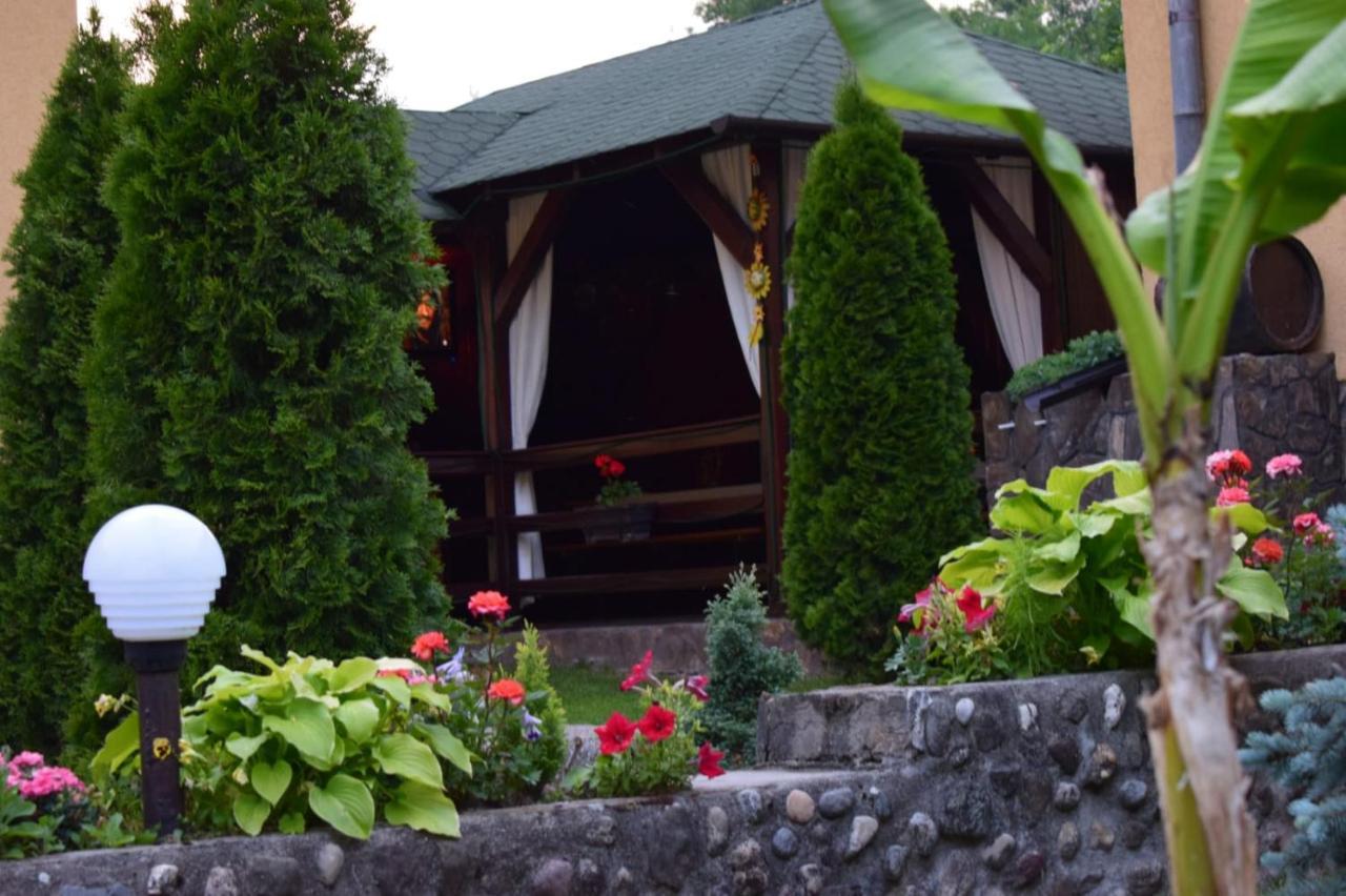 Casa De Vacanta Silvia Vărmaga Extérieur photo