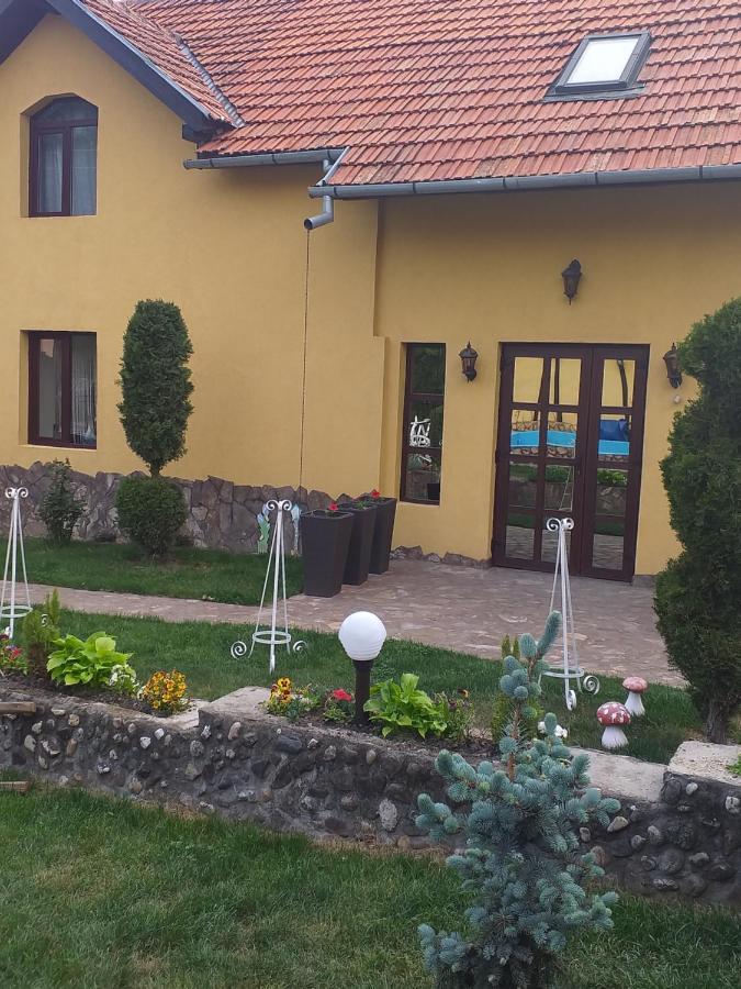 Casa De Vacanta Silvia Vărmaga Extérieur photo